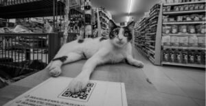 QR Code Marketing