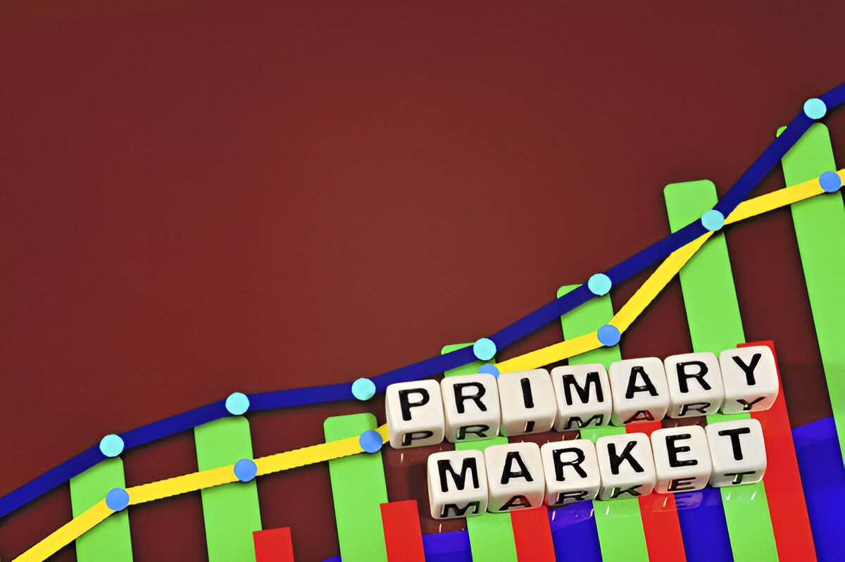 Busy Professionals The Primary Market