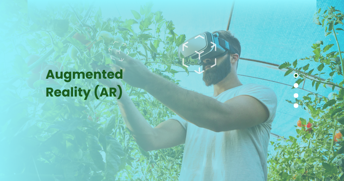 Augmented Reality (AR)